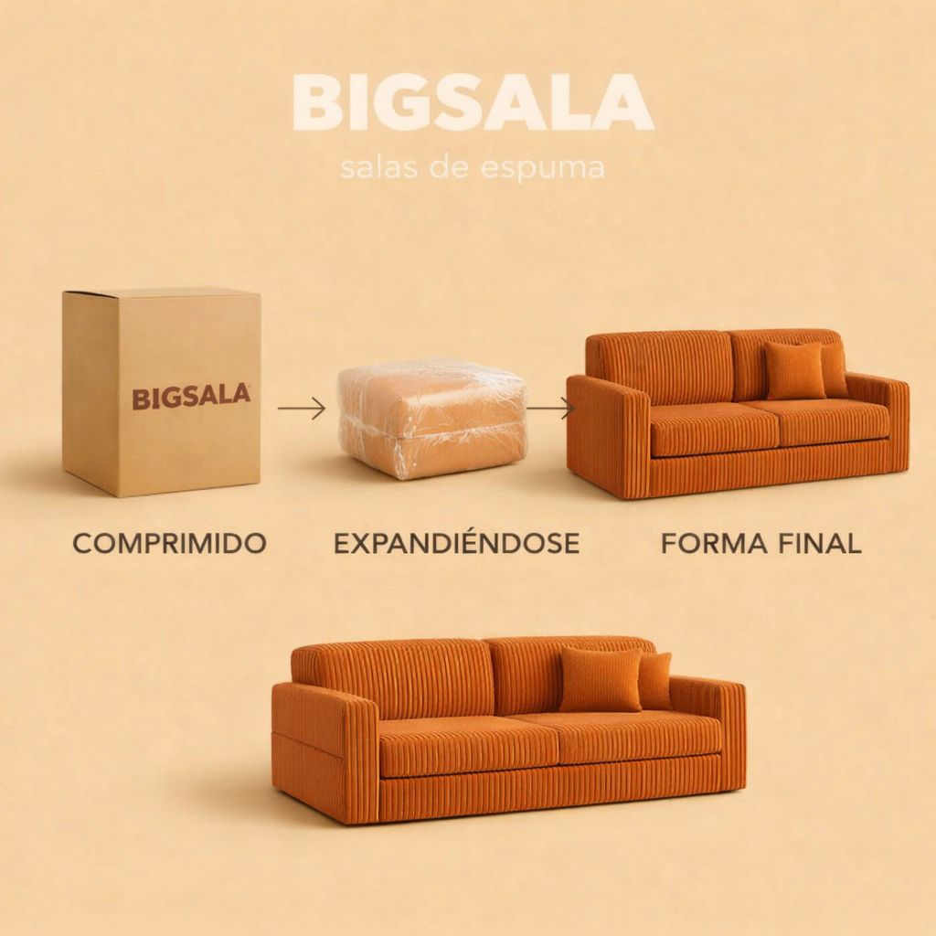 Sofa cama Delhi ®️