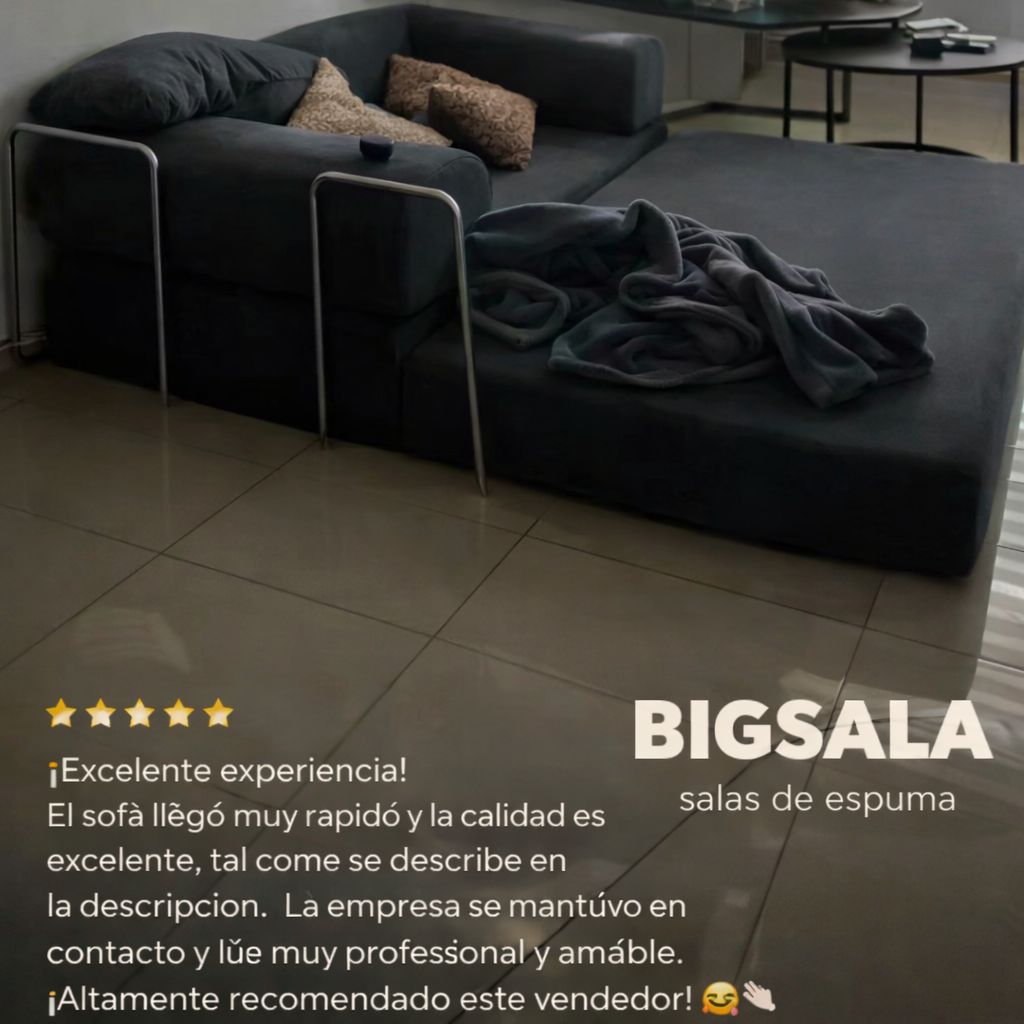 Sofa cama Delhi ®️